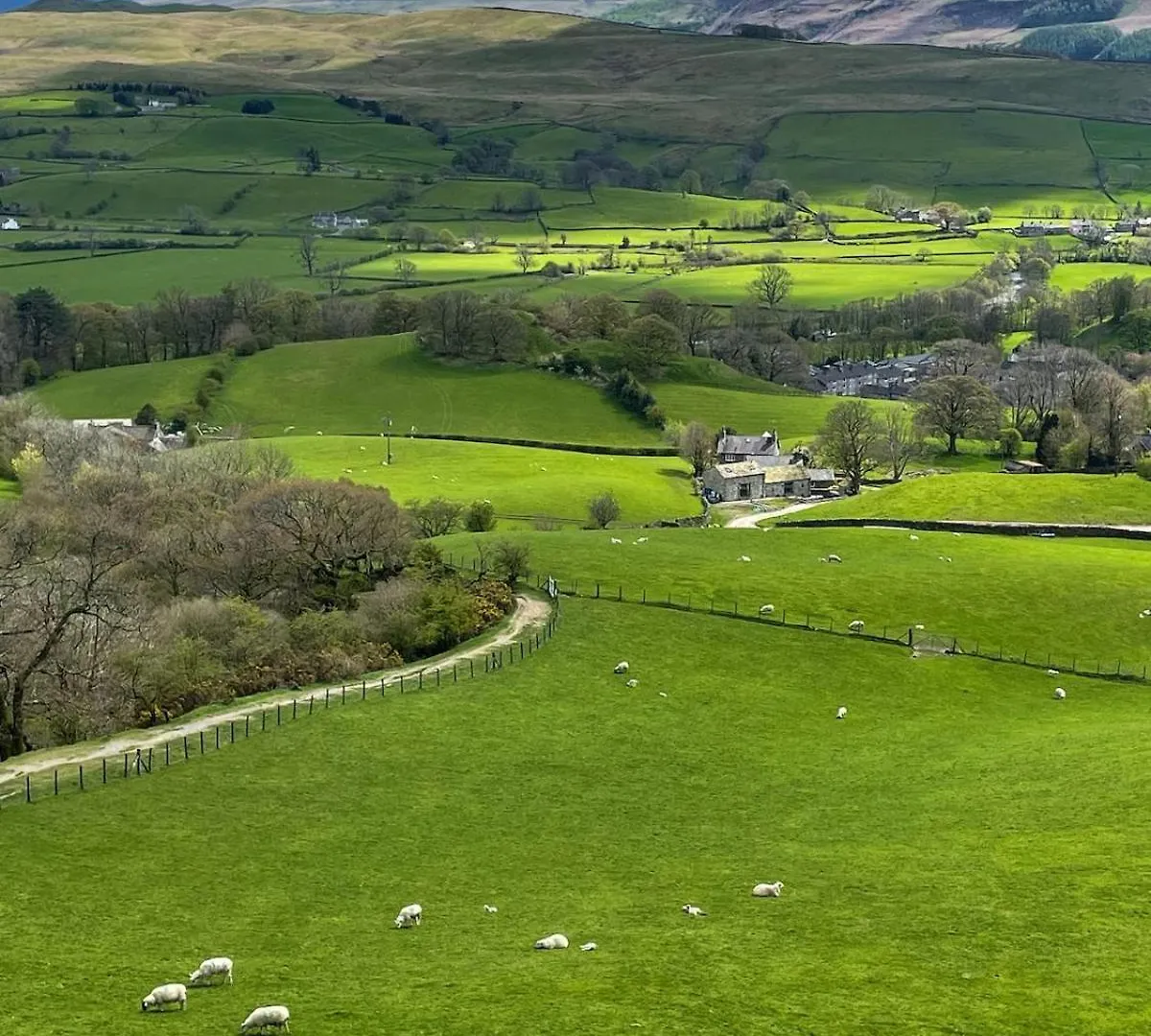 Bumble Cottage In Sedbergh